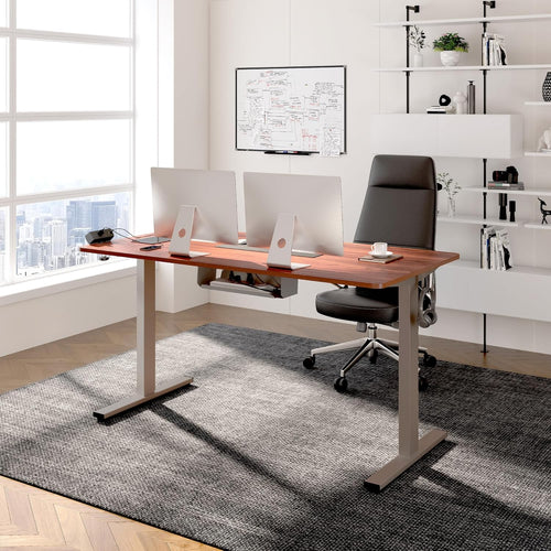 FLEXISPOT EN2 48" X 30" Standing Desk with Power Strip Bundle - Mahogany